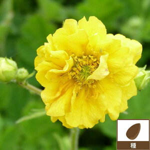 i킯jyL25N10zQEi_CR\EjFTCY