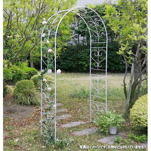 []ACAA[`FubTn[gEzCgi114.5cmA233cmjiIA-BH005WHTj