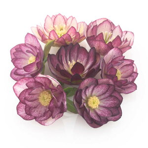 i[Z[̃NX}X[YF_uoCJ[n3|bg