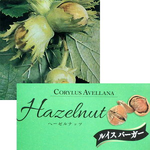 ʎ̕c/w[[ibcimnVo~jFCXo[K[4.5`5|bg