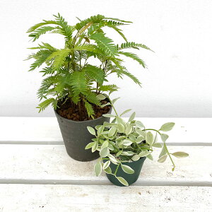 ϗtA/u₩ZbgiGo[tbV3.5EfBXLfBAEGh2.5|bg j