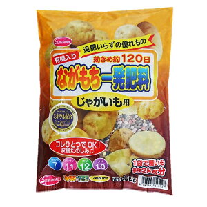 Ȃꔭ엿 Ⴊp 500gi킢2kgji7-11-12-1j