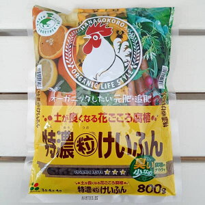 Zӂ800OiԂj