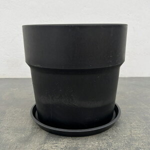 A[ovc|bg\bhi`R[ja19.5×18.5cm 81003