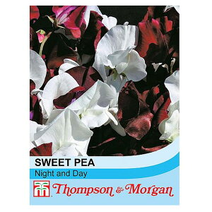 [IZ[]i킯jyL25N10zXC[gs[FiCg Ah fC