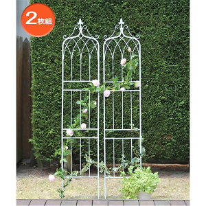 []ACAtFXF200nC^CvEh[v2g^zCgi40cmA200cmjiIF-DR029-2P-WHTj