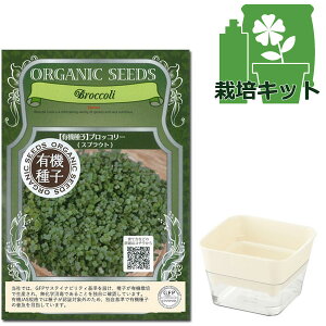 ͔|ZbgiXvEgt@[12^NAC{[jFL@q@ubR[itj