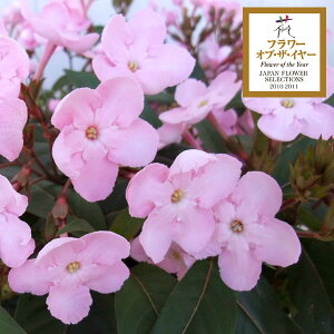 i킯jNAiAbTjICUNjFRR(coco)5A