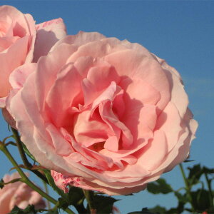 o̕c/lG璆փoFuC_sNc