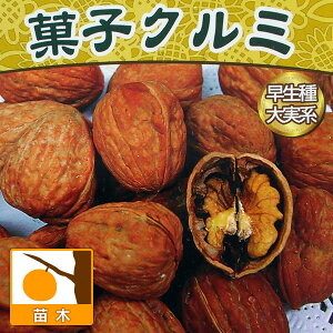 ʎ̕c/N~FMZN~iȂ̂݁jc4.5|bg