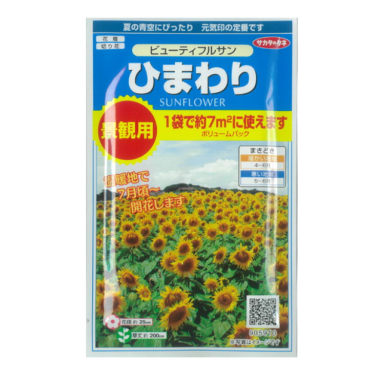 楽天市場 ひまわり ビューティフルサン 景観用ボリュームパック 春まき 花タネ 園芸ネット プラス