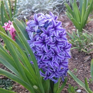 qVXFn@1A2.5`3|bg 2Zbg