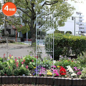 []ACAtFX nC^Cv220EzCg 4gi220cmA53cnA212cmjiDF010H-4P-WHTj