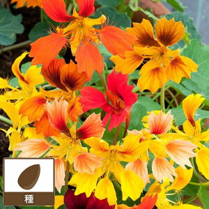 LJiiX^`EjFtFjbNXiqLJj