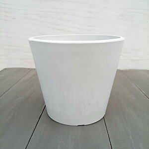 Jo[EVeB[MzCgia14cm×12.5cmjiꌊj