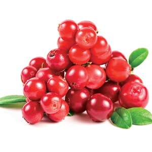 ʎ̕c/RPFSx[3|bg 12Zbg