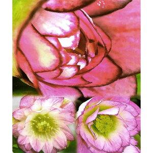 ]c|̃NX}X[YF_uo[VupXen3.5|bg