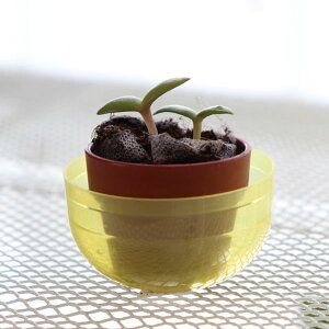 T{e͔|JvZFE`T{e~bNX@1[K`JvZɁAcޓyƃT{ẽ^l]