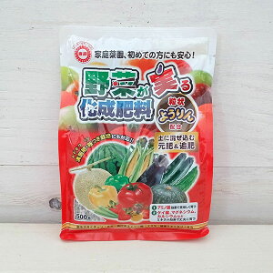 EǔF؂鉻엿 500g