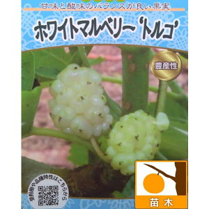 ʎ̕c/}x[iKjFgRij4.5|bg