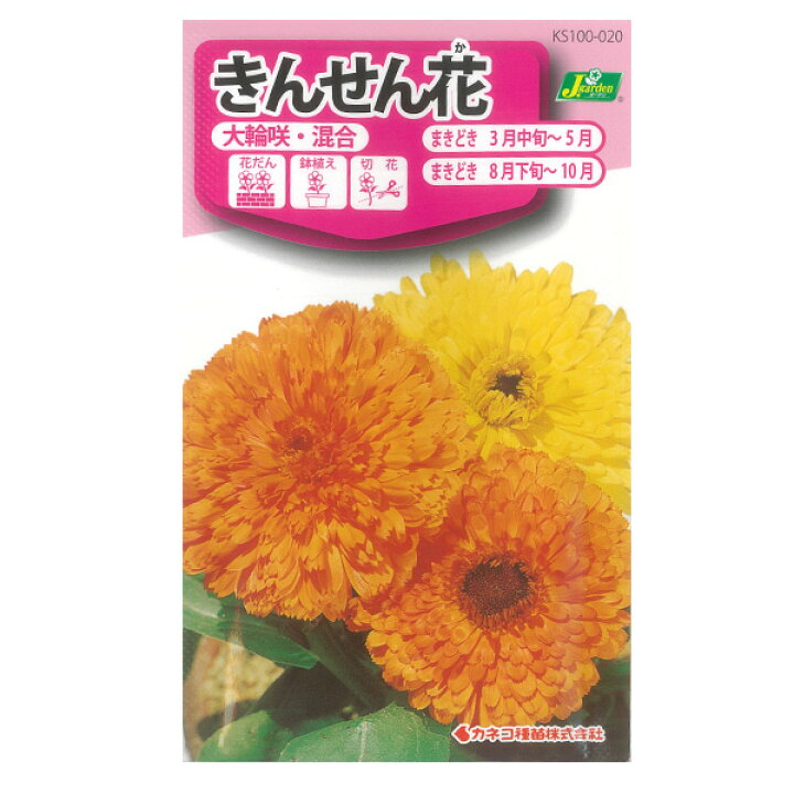 楽天市場 きんせん花 大輪咲き混合 カレンデュラ 金盞花 カネコ 花タネ 園芸ネット プラス 楽天市場 きんせん花 大輪咲き混合 カレンデュラ 金盞花 カネコ 花タネ 園芸ネット プラス