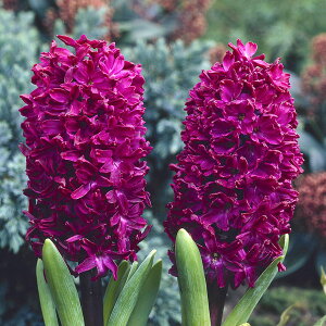 /qVXiK[fpjFEbhXgbN 3