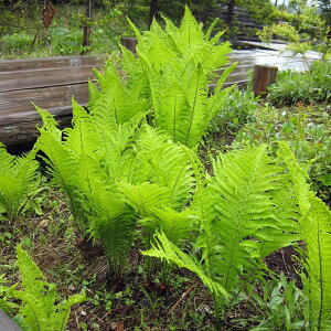 ϗtA/RS~iNT\ecj 5|bg