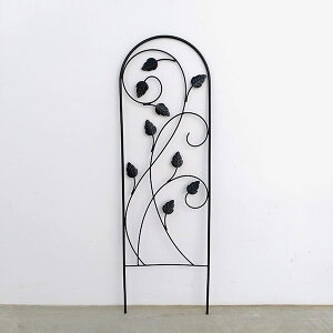 gXiPanyaЁj5709 ubNi30.6cmA96.2cmj