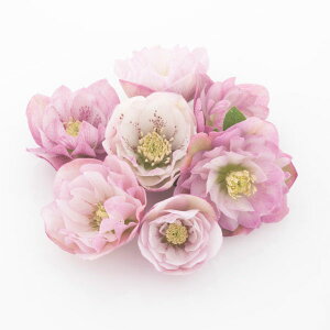 i[Z[̃NX}X[YF_usNn3|bg