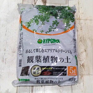 yĂ悭 ϗtA̓y5bgi|{yj