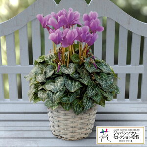 []VNiFjFZi[fBA A}u[5GYJS