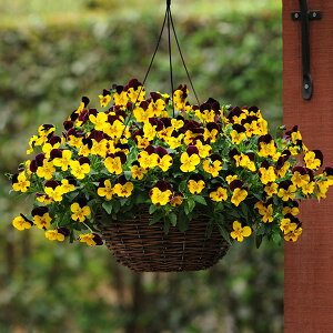 Ԃ̕c/pW[iقӂjFveBtH[@bhECO3`3.5|bg