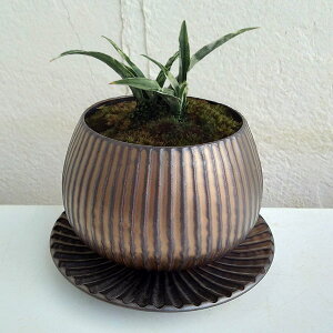 ϗtA/IgiNjFPOEA^sX{EuYEMt