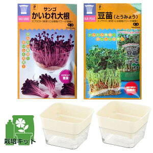 ͔|ZbgiXvEgt@[24^N_[NO[jF2Zbg₵EXvEgpiTS卪ƃgE~Eicjjitj