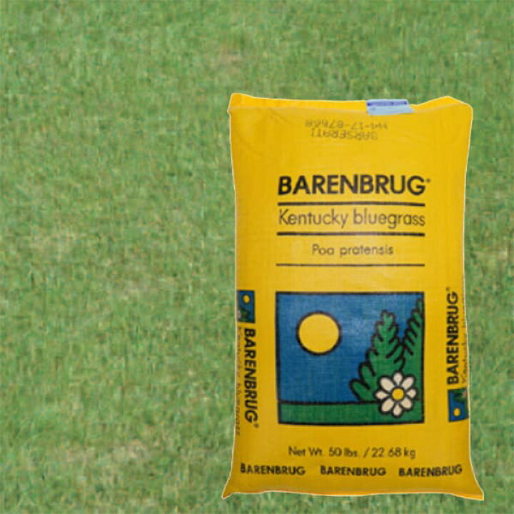 高額売筋 園芸ネット芝の種 Gefert Com Br