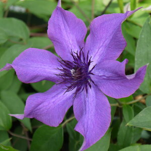 N}`X̕c/N}`XFKCfBOv~X4|bgix炫֌nj