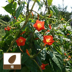 i킯jATKIiC|AjFTX|bg