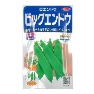 GhEFrbOGhEi䰃GhEj[TJ^@؃^l]