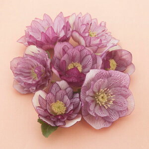 �����i�[�Z���[����̃N���X�}�X���[�Y�F�_�u���s�R�e�B�n3���|�b�g