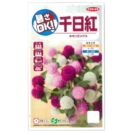 センニチコウ（千日紅）：ネオン ミックス[サカタ 花タネ 春まき]