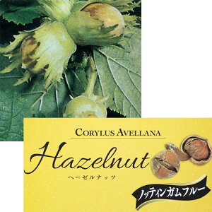 ʎ̕c/w[[ibcimnVo~jFmbeBKt[4.5`5|bg