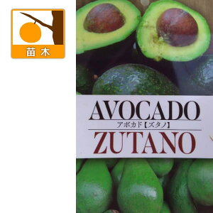 ʎ̕c/A{JhFY^m5|bgiږؕcj