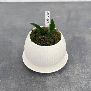 ϗtA/IgiNjFoEA^sX{EEMt