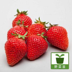 ؂̕c/C`SF˂i˂j3|bg 2Zbg