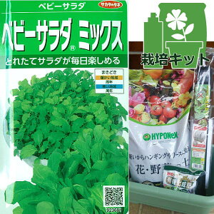 ͔|Zbgi΂̂₳v^[40^E悯lbgtjFxr[T_~bNX