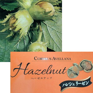 ʎ̕c/w[[ibcimnVo~jFnV[[4.5`5|bg