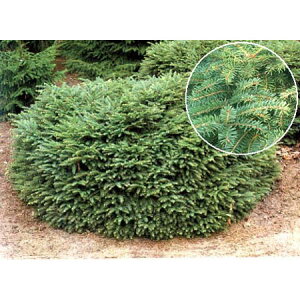 Ԗ ؂̕c/[bpgEqFjfBtH~X5|bg