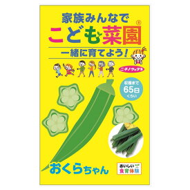 オクラ：こども菜園（おくらちゃん）[野菜のタネ　春まき]