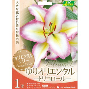 /FIG^[@iLvejgR[1 2Zbg