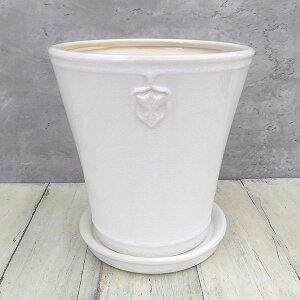 NX}X[YpFRose de Noel Parfaite@LTCYi7jEMt